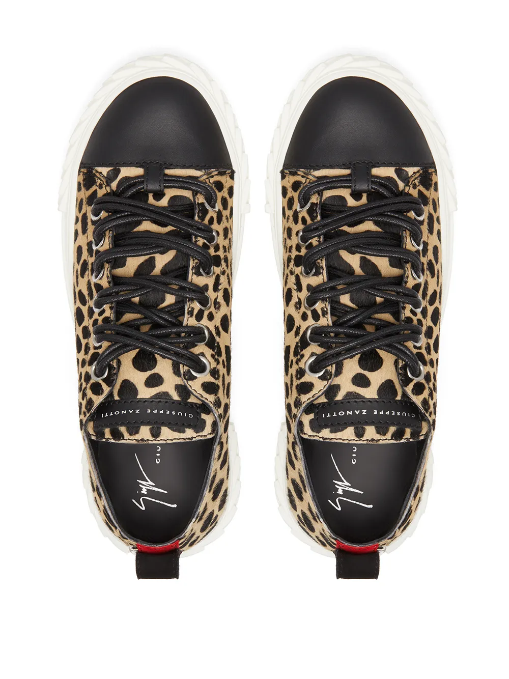 фото Giuseppe zanotti кеды blabber