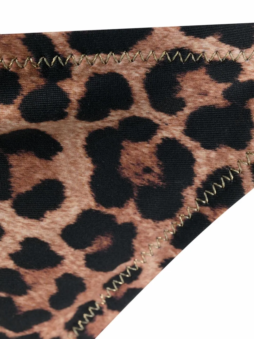 Reina Olga Luca Leopard Print Knot Detail Bikini Farfetch