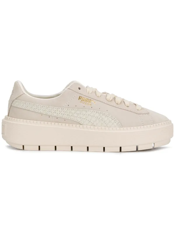 puma animal platform puma animal platform