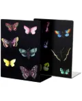 Fornasetti Book ends - Black