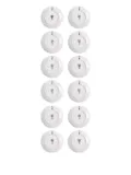 Fornasetti Adam plate set (set of 12) - Grey