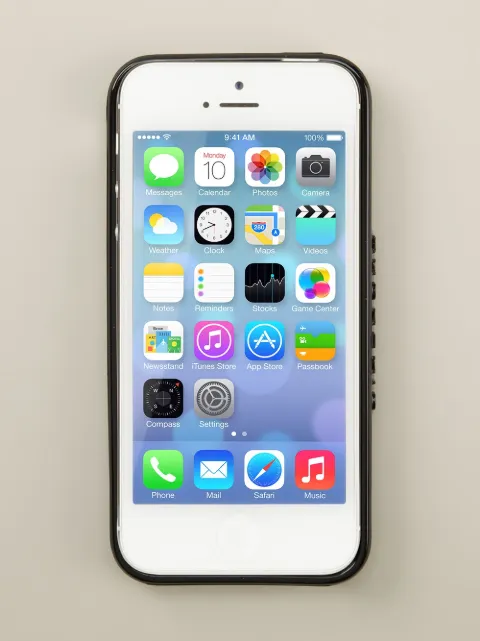 Shop Givenchy Rottweiler Iphone5 Case With Express Delivery Farfetch