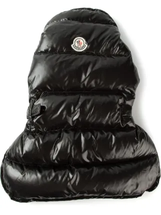 moncler dog moncler dog