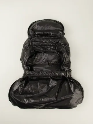 moncler dog moncler dog