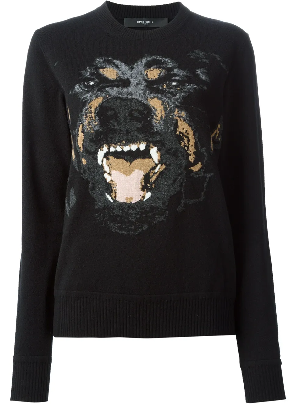 tricolor cavalier puppy