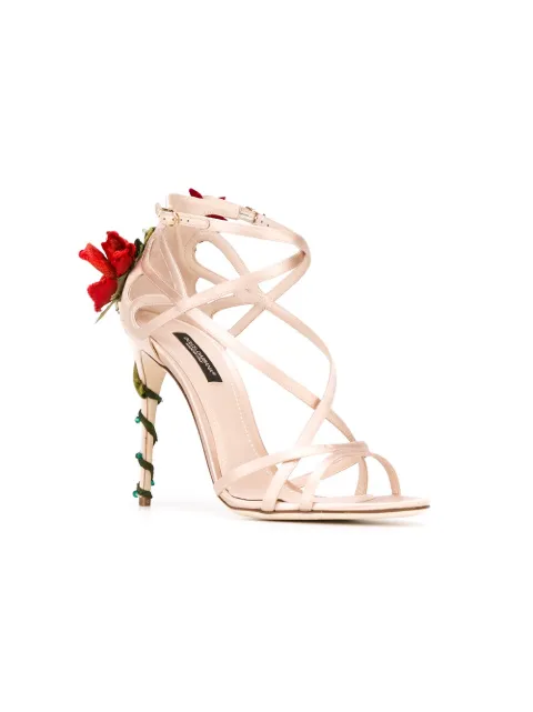 Dolce & Gabbana climbing rose sandals CR0029A7630 - 3