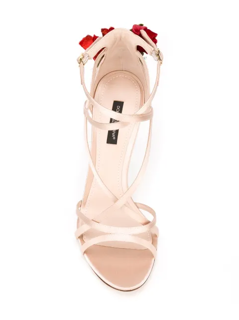 Dolce & Gabbana climbing rose sandals CR0029A7630 - 1
