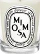 Diptyque Mimosa Scented Candle