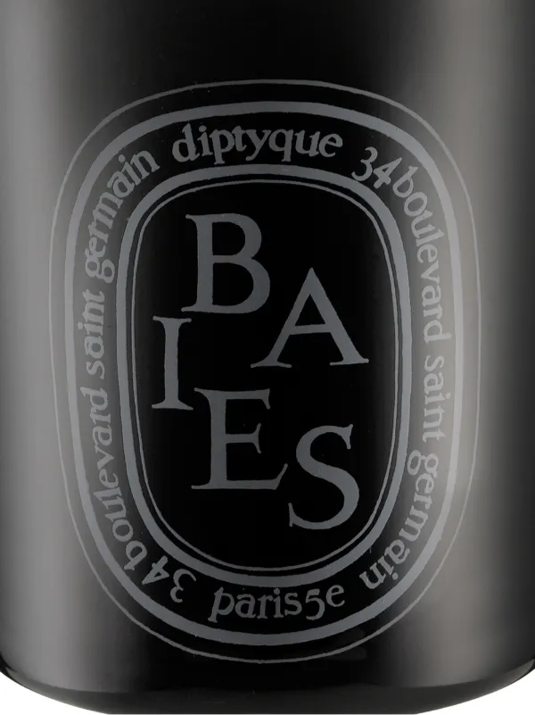 Diptyque Baies キャンドル | ブラック | FARFETCH JP