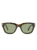 TOM FORD Eyewear Snowdon sunglasses - Brown