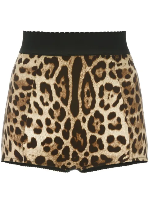 Dolce & Gabbana calzones franceses con estampado de leopardo
