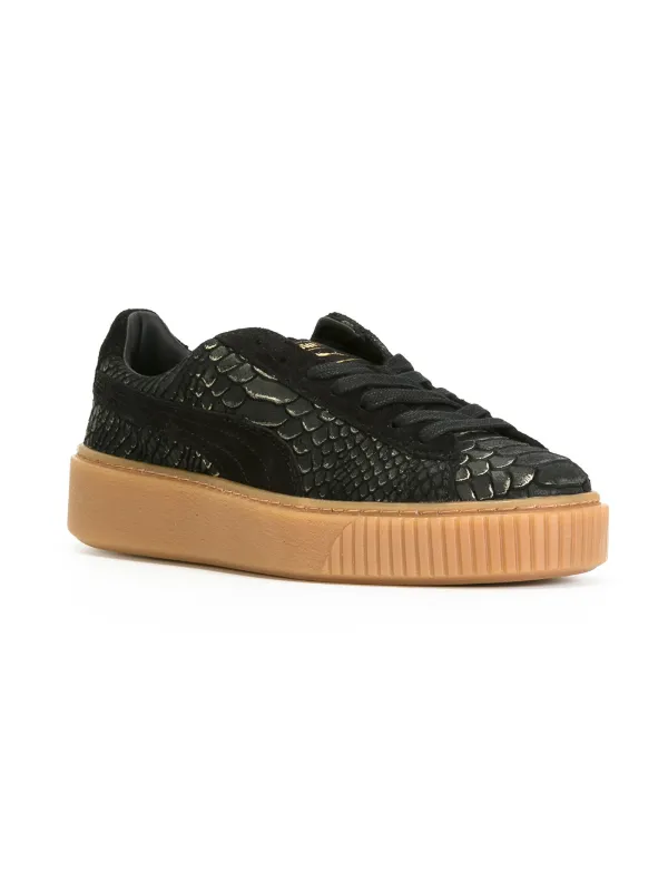 puma crocodile puma crocodile