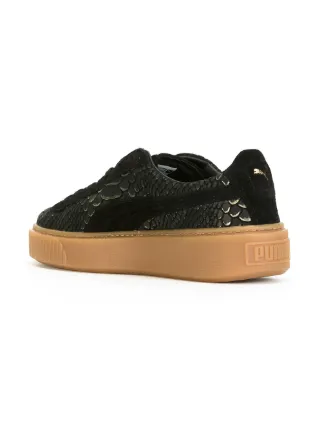 puma crocodile puma crocodile