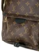 Louis Vuitton 'Palm Springs MM' Rucksack