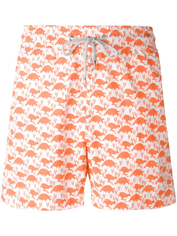 turtle print swim shorts