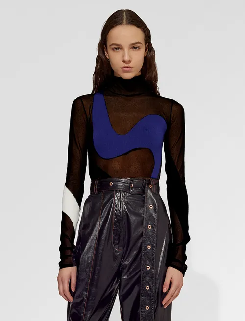 Paneled Sheer Turtleneck