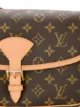 Louis Vuitton 'Sologne' Umhängetasche