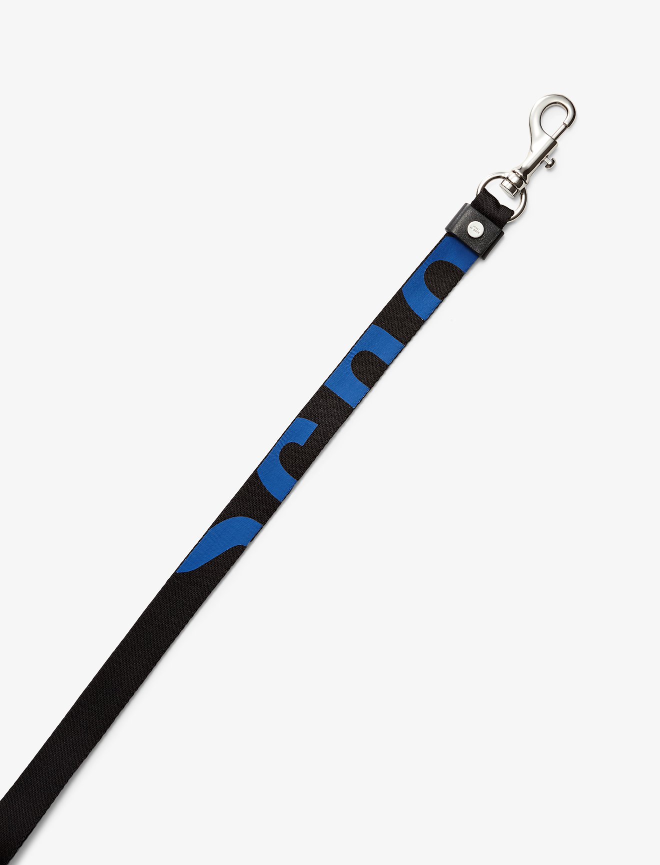 Logo Lanyard #2