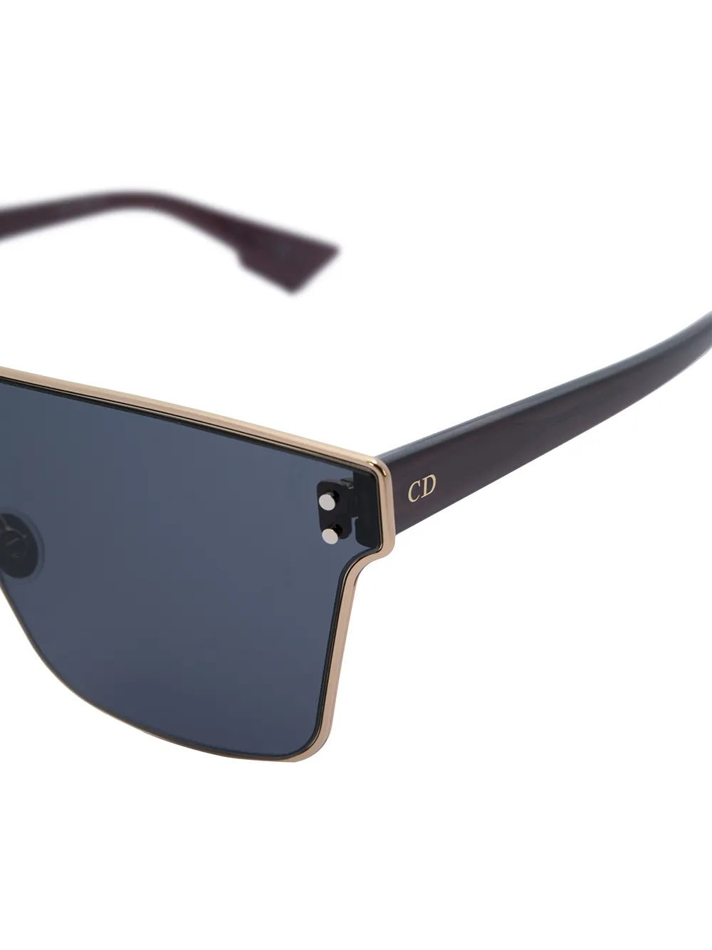 diorizon sunglasses