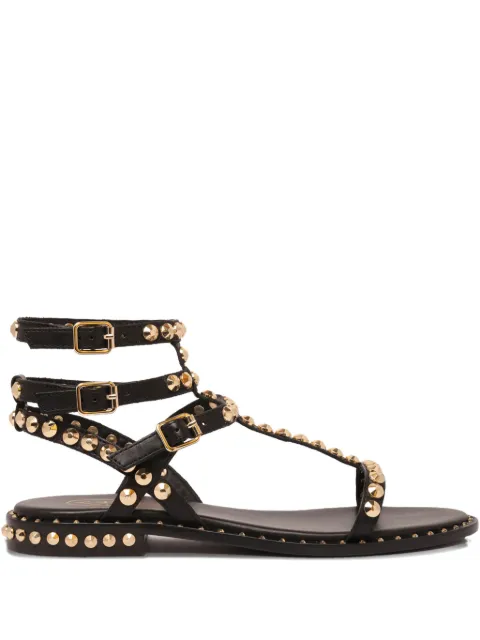 Ash studded sneakers