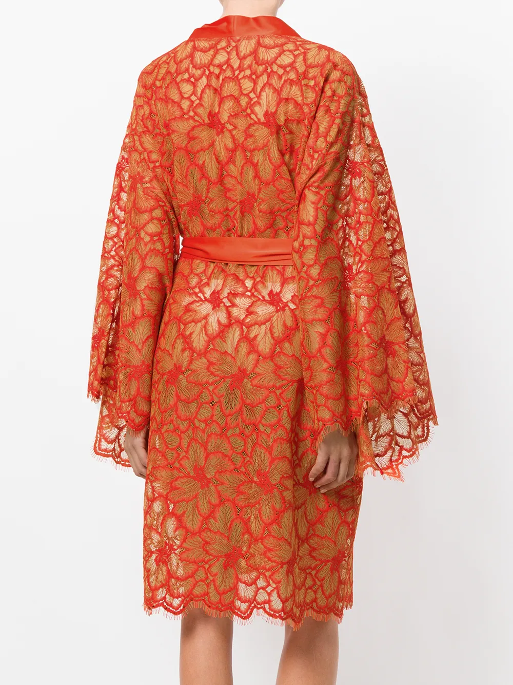 Dolci Follie scalloped lace slip gown Geel