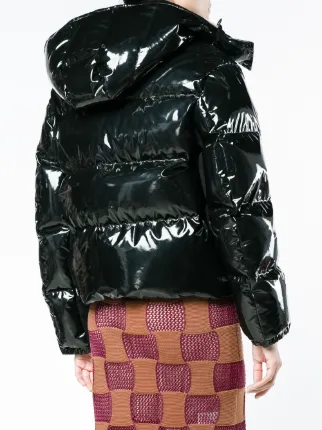 moncler jacket shiny moncler jacket shiny