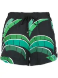 Amir Slama tropical print shorts - Black