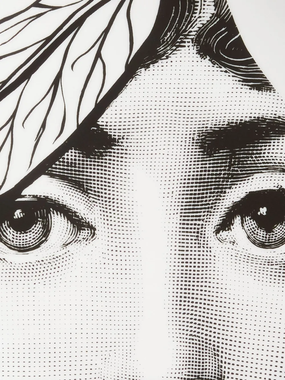 Fornasetti Piatto | Image 5