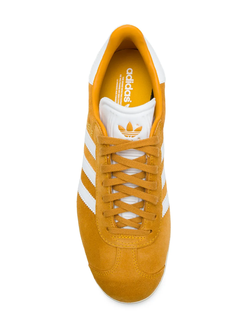 gazelle amarelo