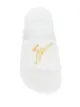 Giuseppe Zanotti Brett slides