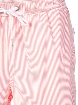 Charles 7" striped swim trunks展示图