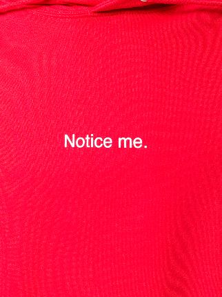 Notice Me hoodie展示图