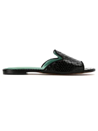 Blue Bird Shoes