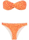 Amir Slama printed bandeau bikini set - Yellow