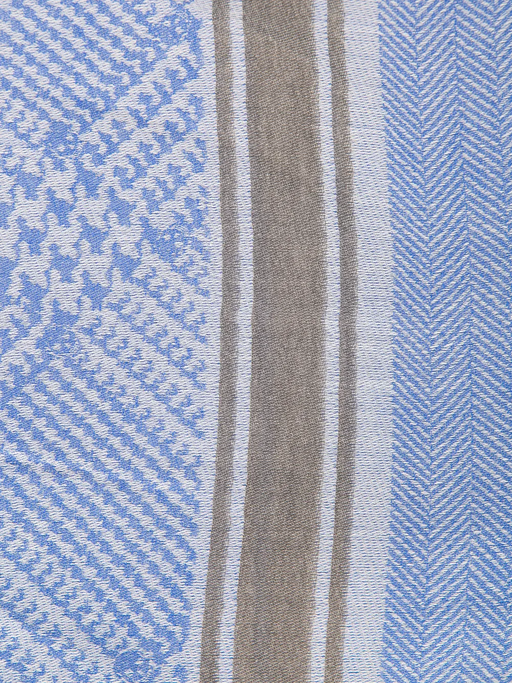 Alexander McQueen geruite schedel print sjaal Blauw