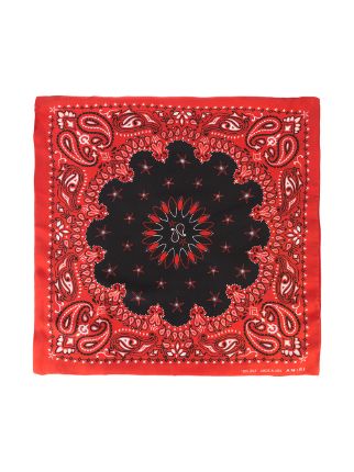 paisley print bandana展示图