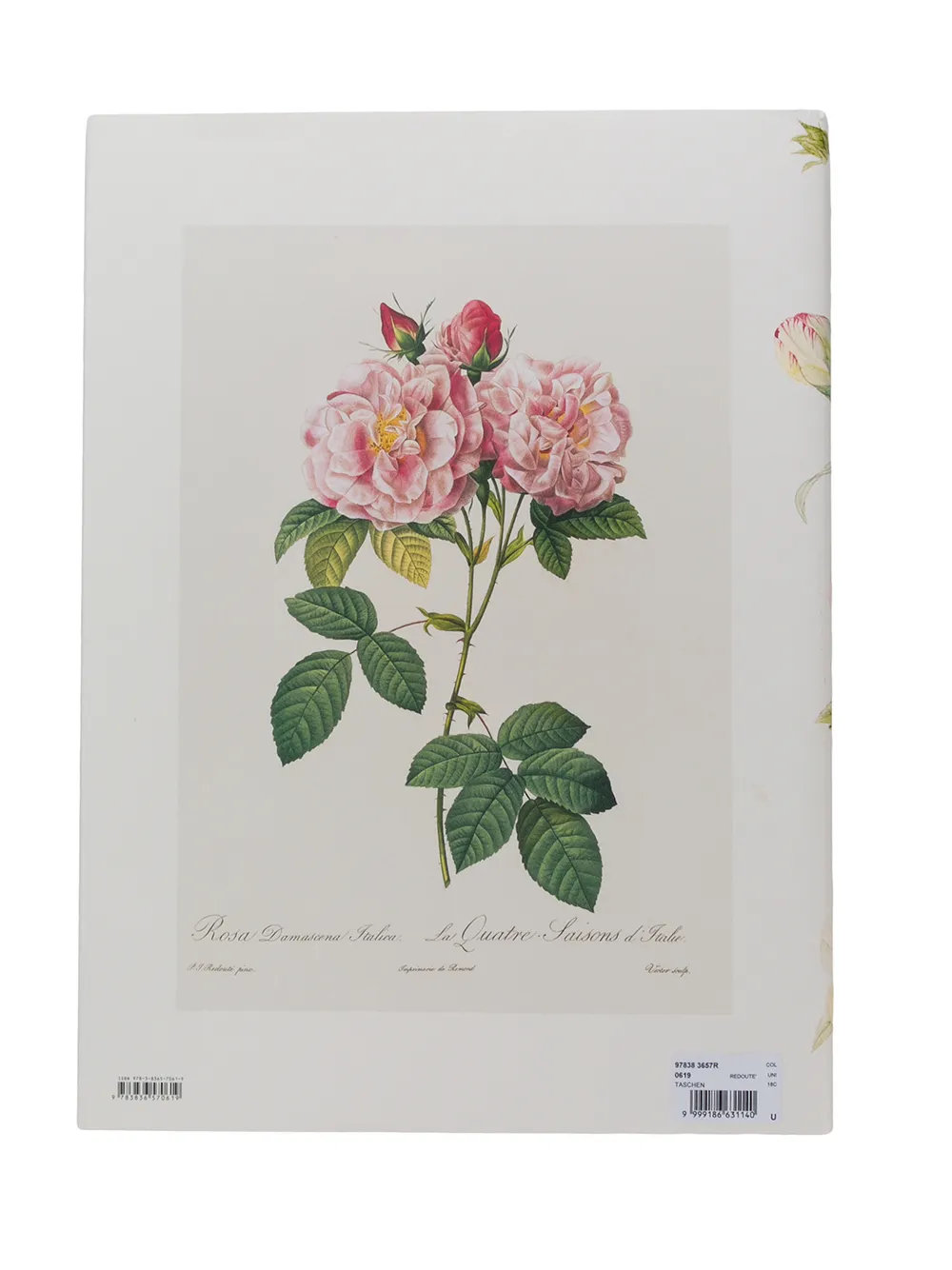 TASCHEN The Book Of Flowers Farfetch