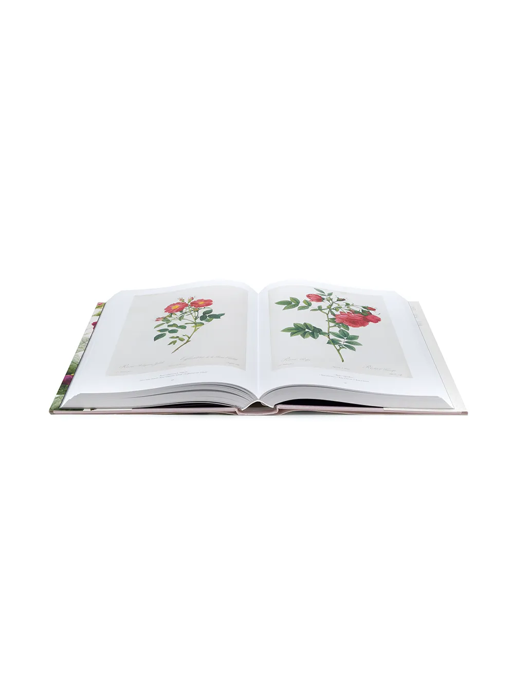 TASCHEN The Book Of Flowers Farfetch