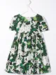الصورة 2 من Dolce & Gabbana Kids فستان من الجيرانيوم الأبيض