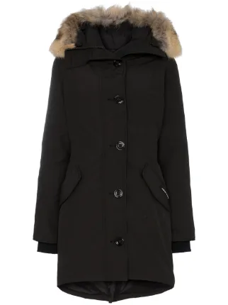 canada goose artic canada goose artic