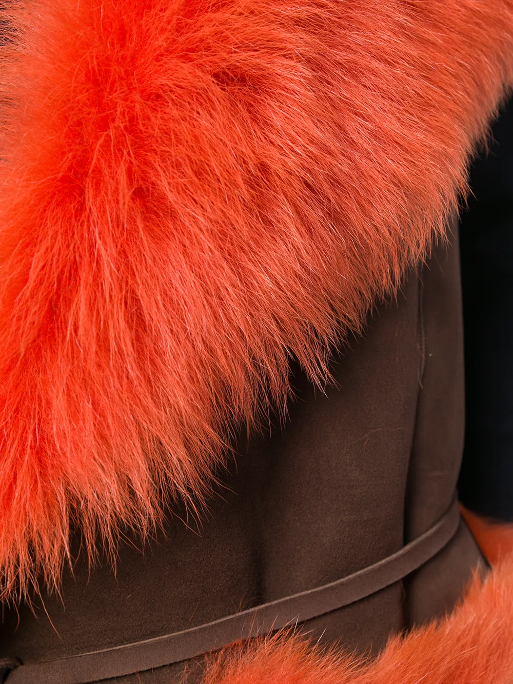 Alberta Ferretti mouwloos oversized kraagjack Bruin