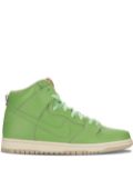 Nike Dunk High Premium SB sneakers - Green