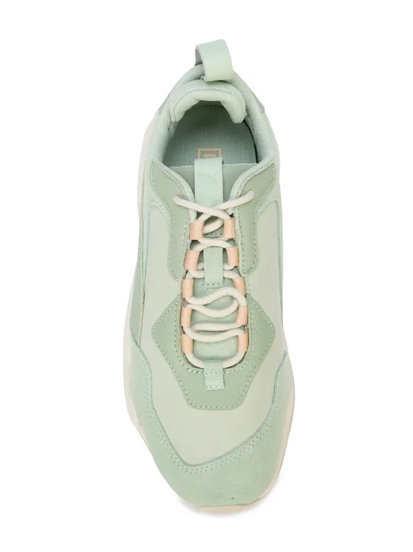 puma desert
