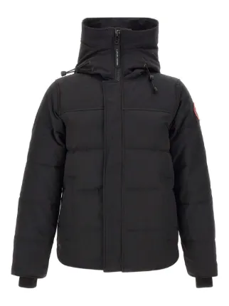 Canada Goose