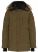 Bild 1 von Canada Goose 'Carson' Parka mit Kojotenpelzbesatz