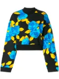MSGM cropped jersey sweater - Black
