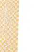 Haider Ackermann long checked scarf