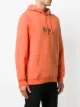 Stussy logo butterfly hoodie