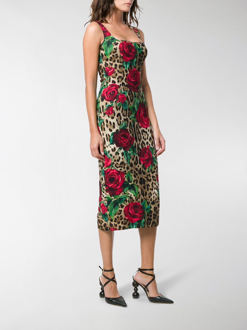 Dolce & Gabbana leopard rose print bodycon midi dress brown | MODES