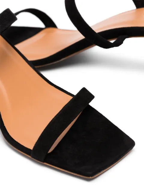 by far tanya mule